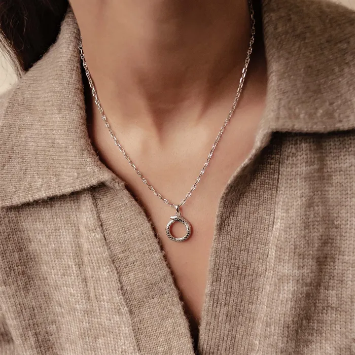 Hey Happiness Necklaces Snake Ouroboros Pendant Necklace for Renewal Sterling Silver Hey Happiness Necklaces Snake Ouroboros Pendant Necklace for Renewal Sterling Silver