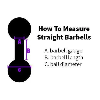 Bracelets 12g Stainless Straight Barbell by Body Circle Designs Body Circle Designs Bracelets 12g Stainless Straight Barbell by Body Circle Designs Body Circle Designs