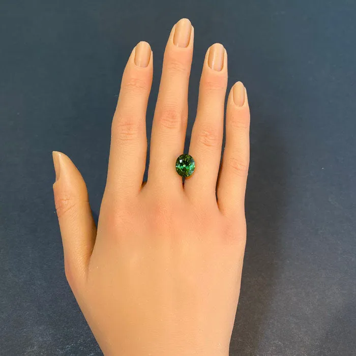 vendorunknown Oval Cut Tourmaline 556 Carats Rings